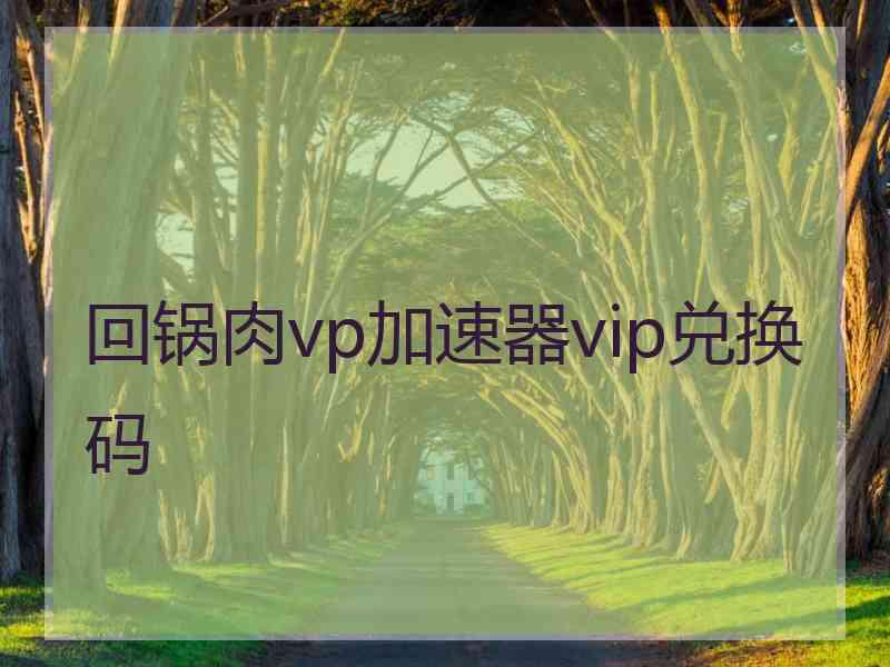 回锅肉vp加速器vip兑换码