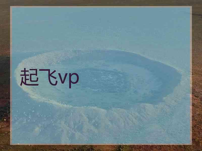 起飞vp