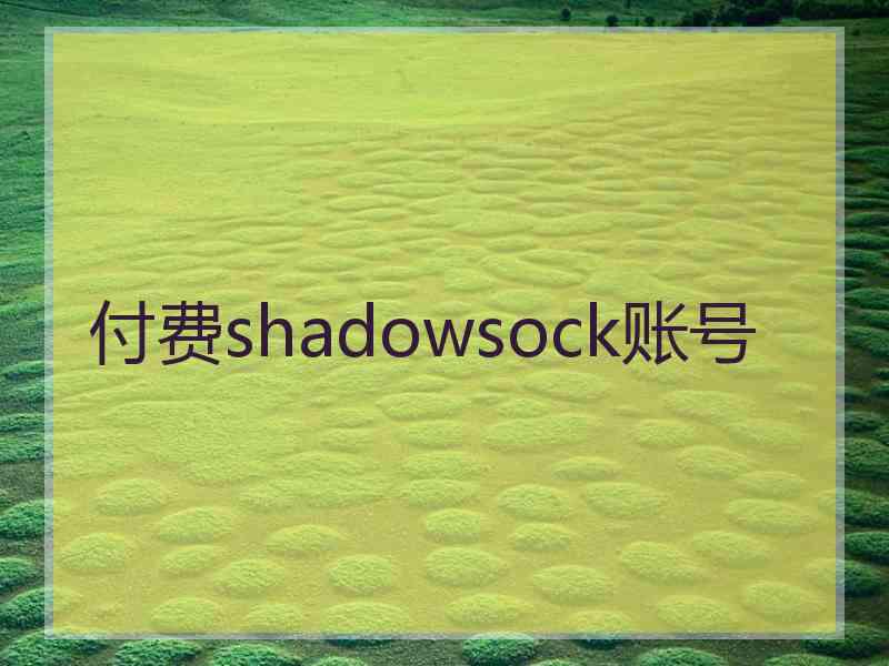 付费shadowsock账号