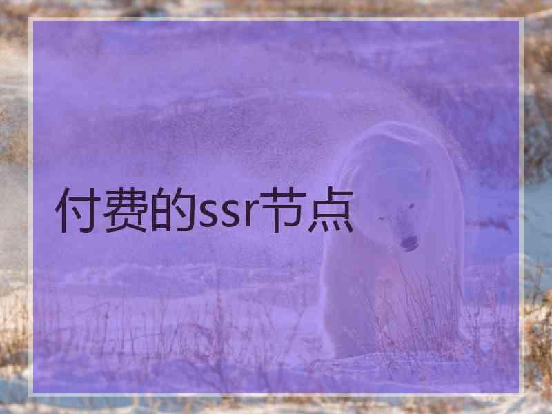 付费的ssr节点