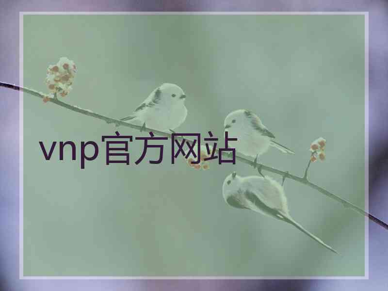 vnp官方网站