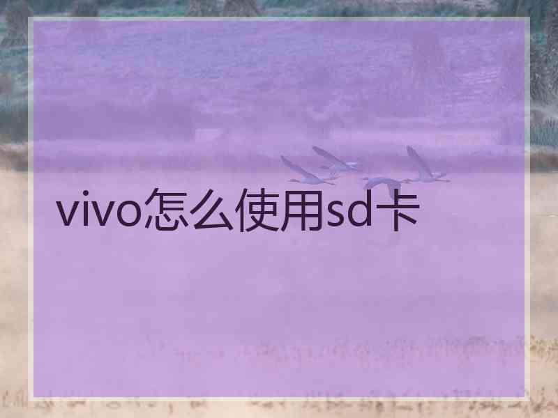 vivo怎么使用sd卡