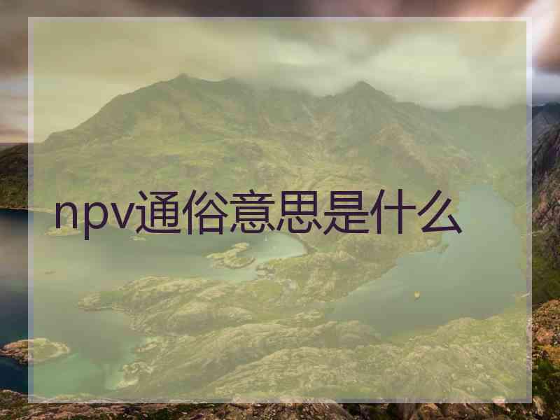 npv通俗意思是什么