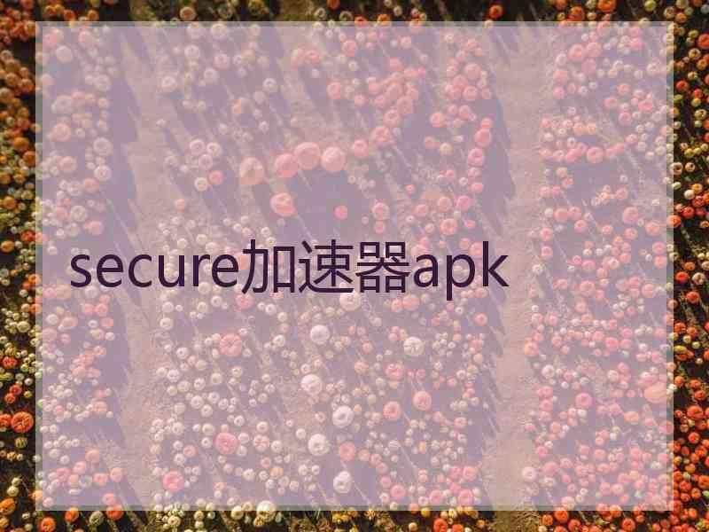 secure加速器apk