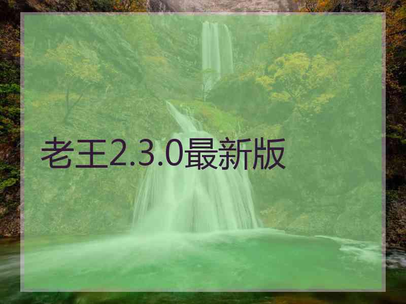 老王2.3.0最新版