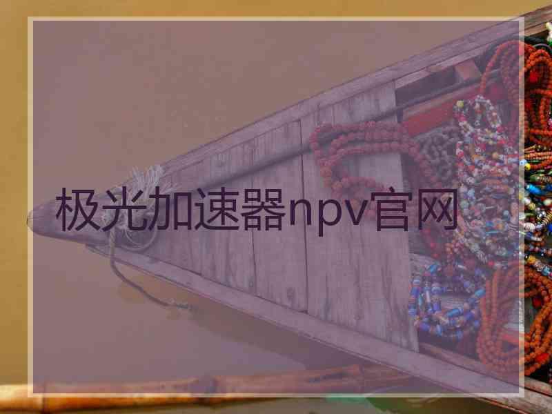 极光加速器npv官网