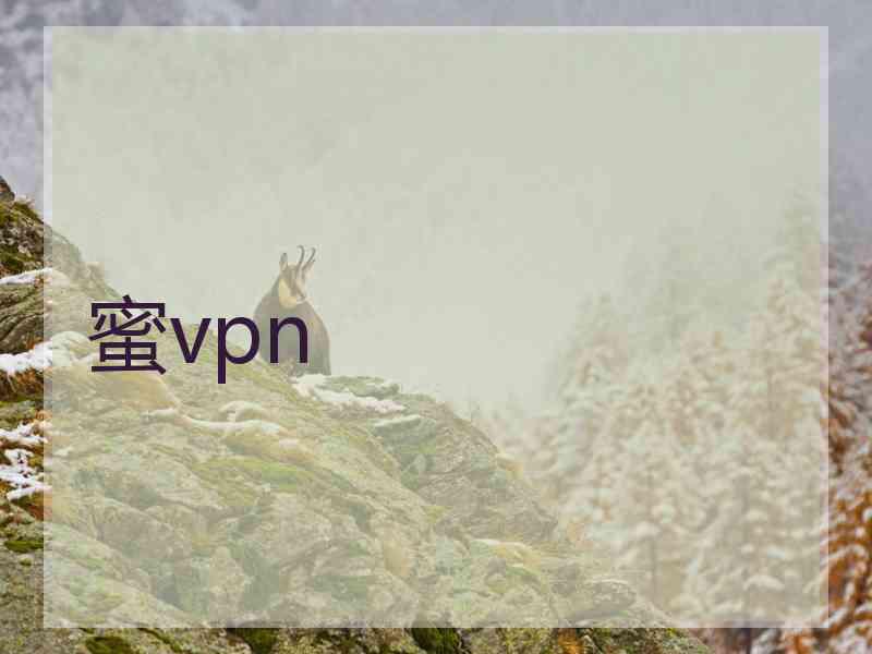 蜜vpn