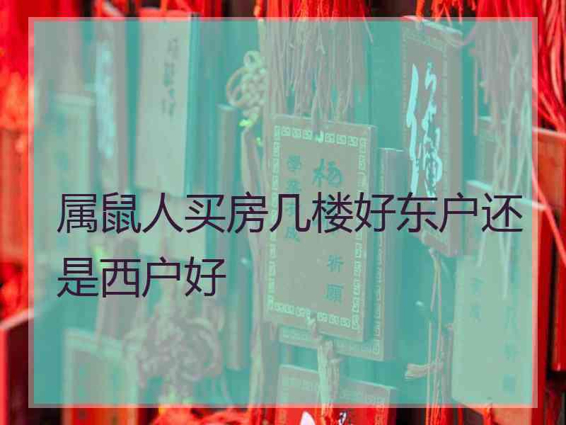 属鼠人买房几楼好东户还是西户好