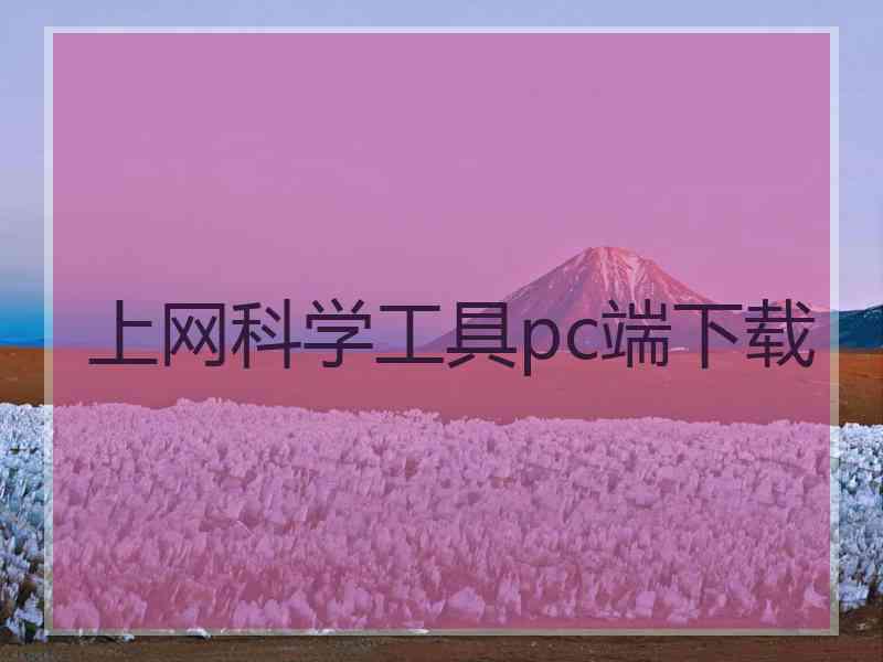 上网科学工具pc端下载