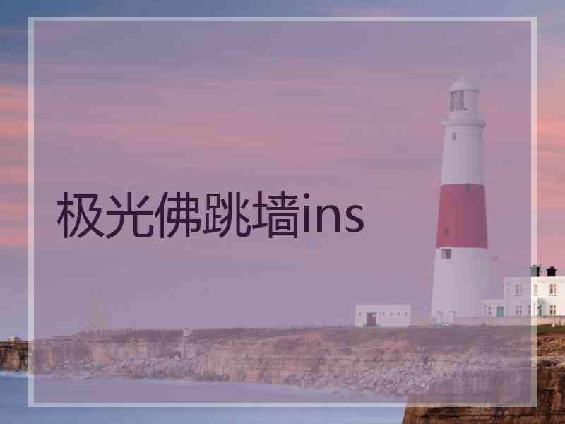 极光佛跳墙ins