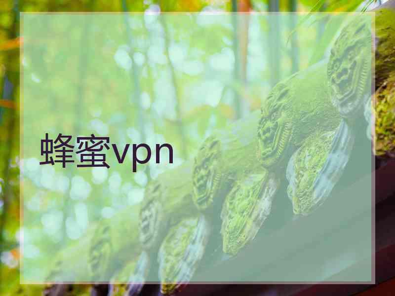 蜂蜜vpn