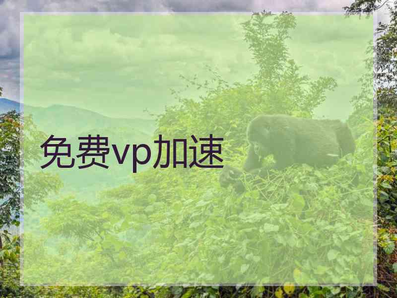 免费vp加速