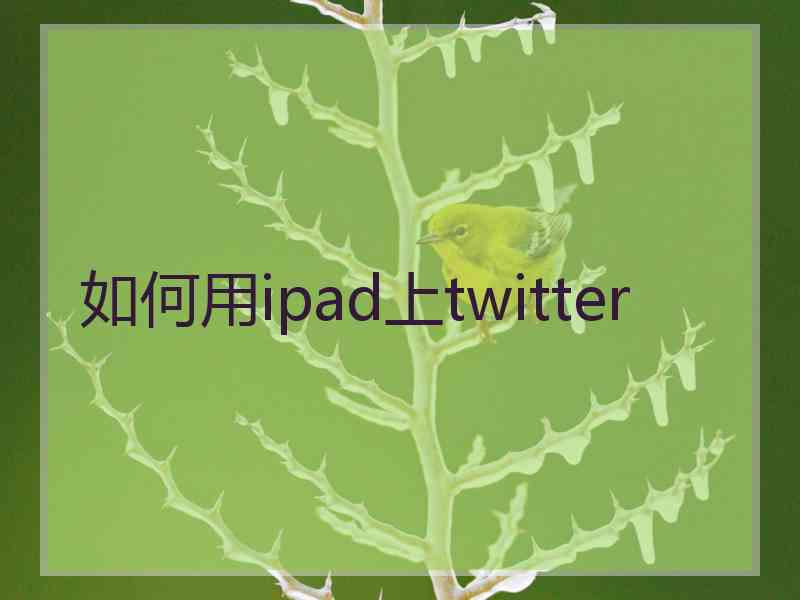 如何用ipad上twitter