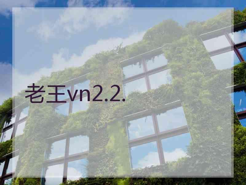 老王vn2.2.