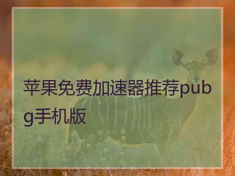 苹果免费加速器推荐pubg手机版