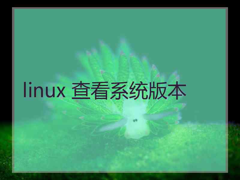 linux 查看系统版本