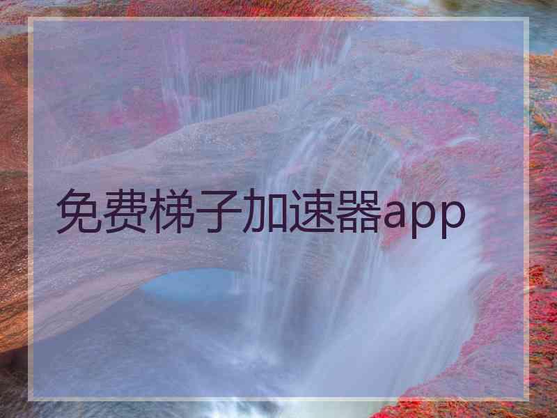 免费梯子加速器app