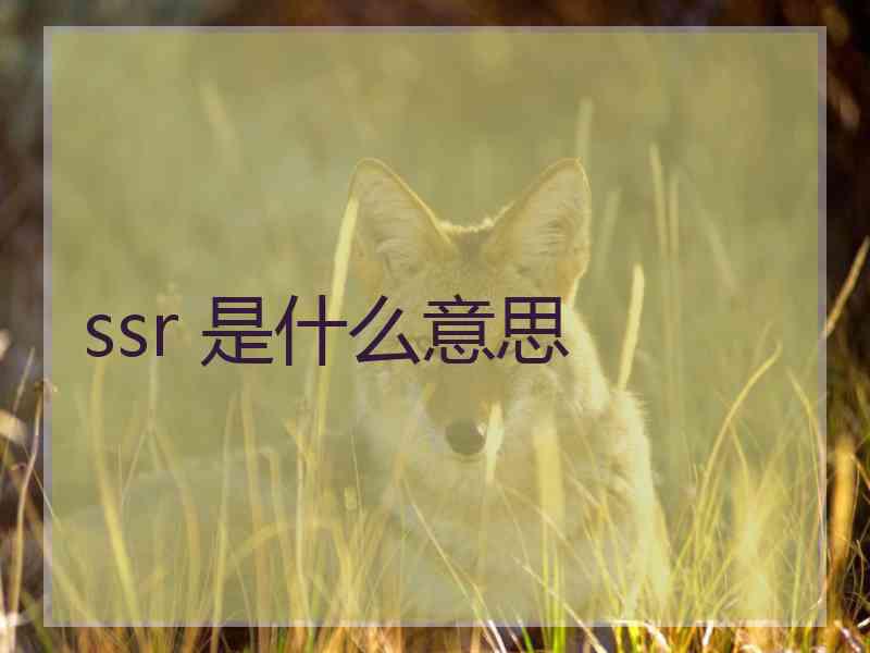 ssr 是什么意思