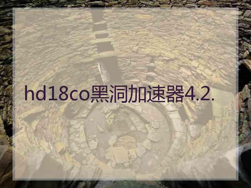 hd18co黑洞加速器4.2.