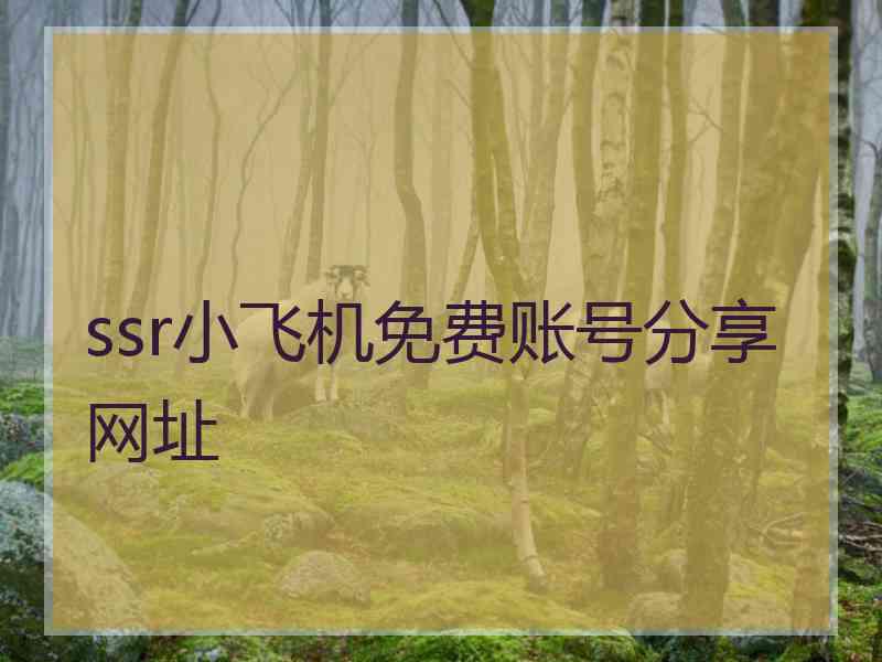 ssr小飞机免费账号分享网址