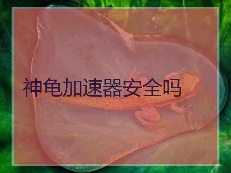 神龟加速器安全吗