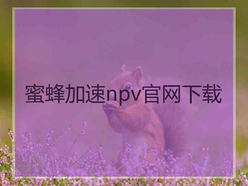 蜜蜂加速npv官网下载