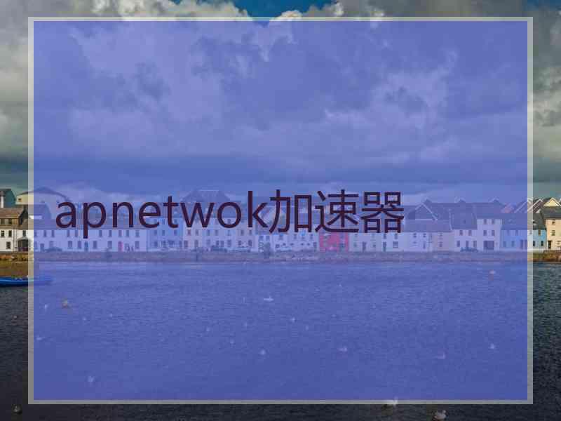 apnetwok加速器