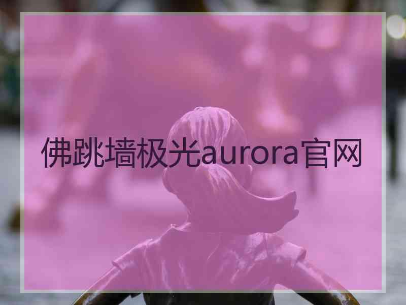 佛跳墙极光aurora官网