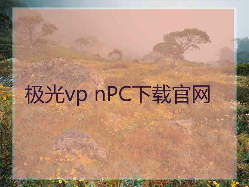 极光vp nPC下载官网