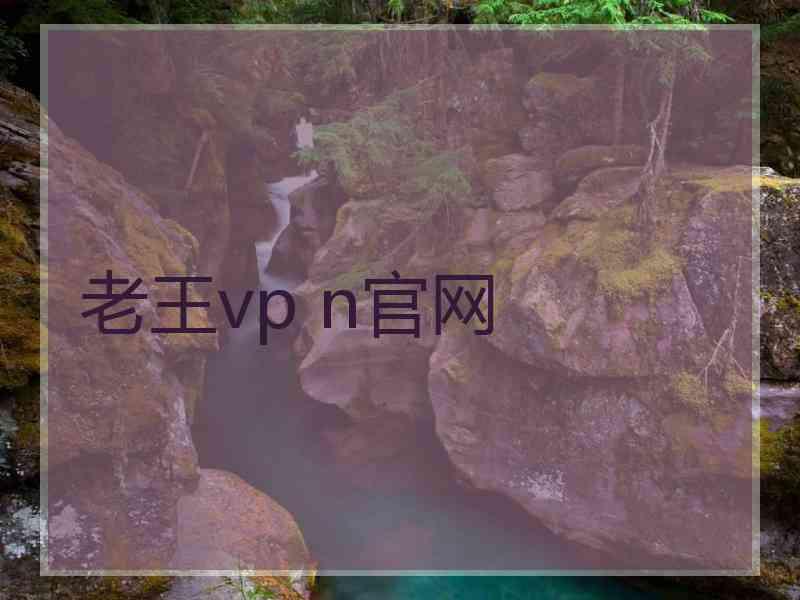 老王vp n官网