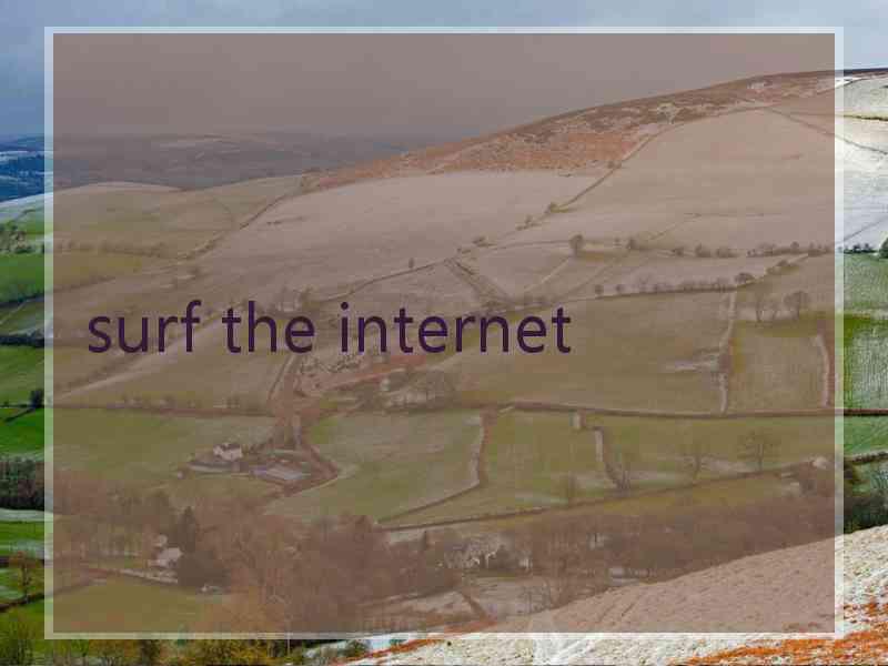 surf the internet