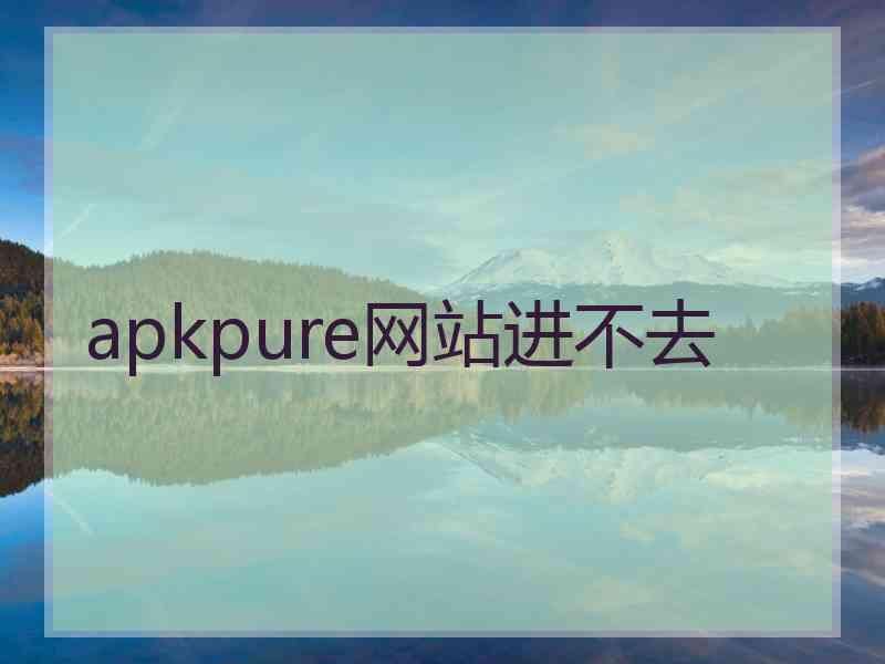 apkpure网站进不去