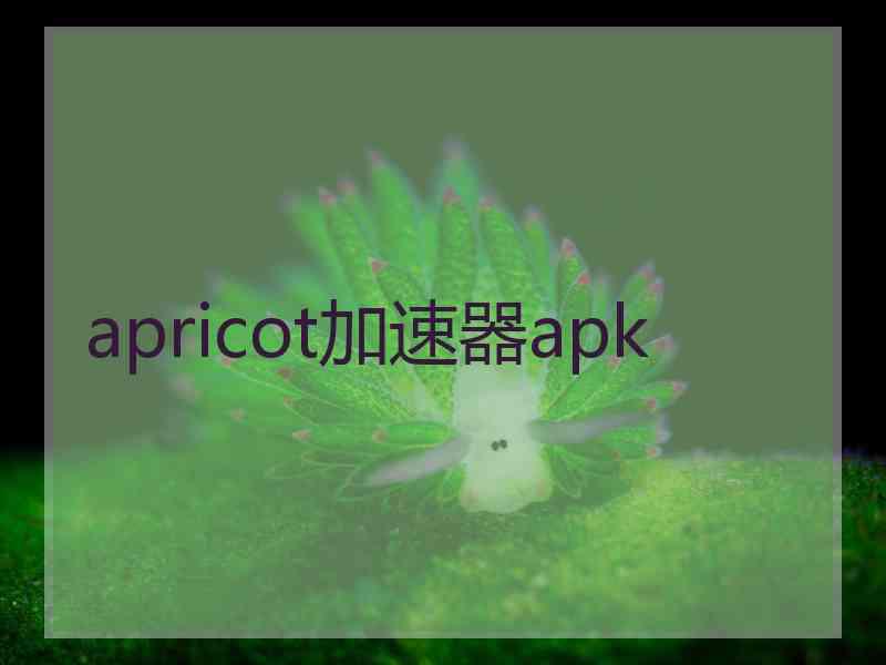 apricot加速器apk