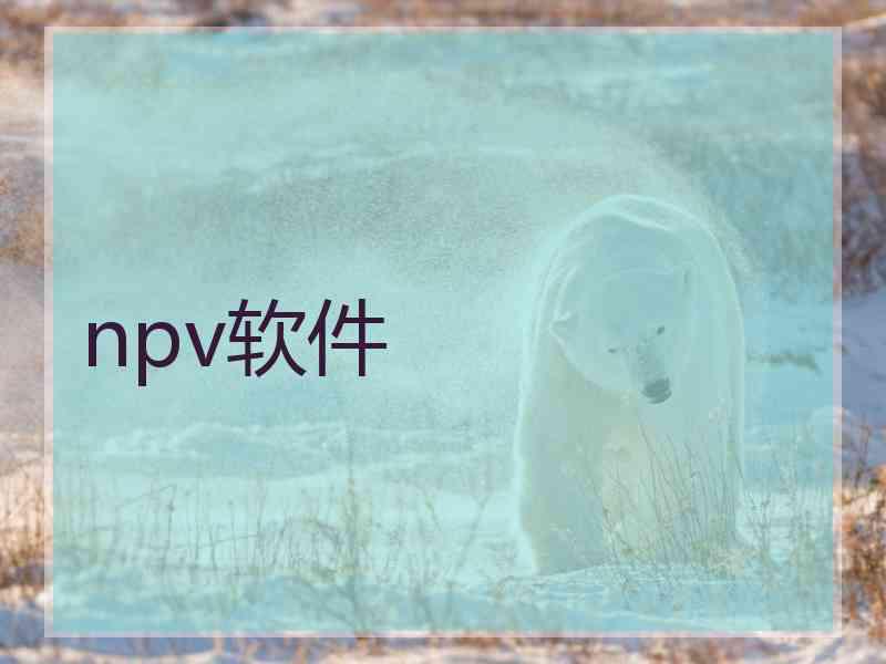 npv软件