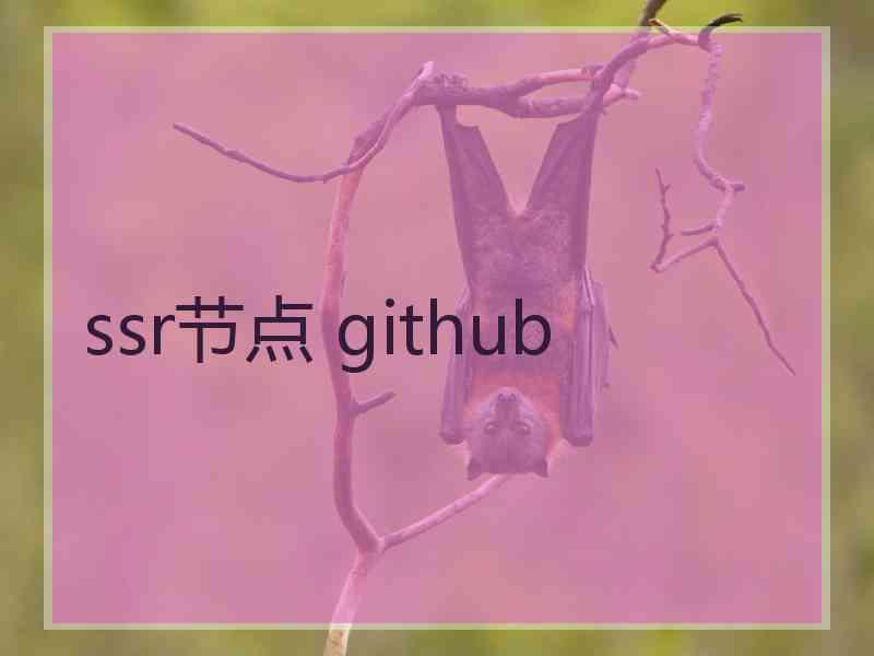 ssr节点 github