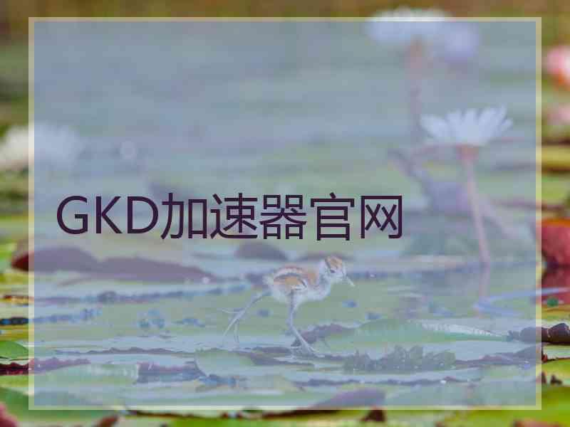 GKD加速器官网