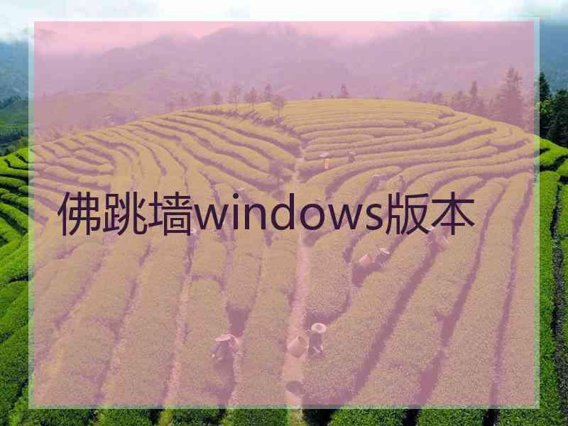 佛跳墙windows版本