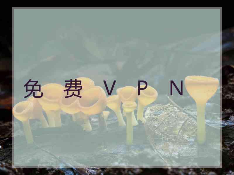 免　费　V　P　N