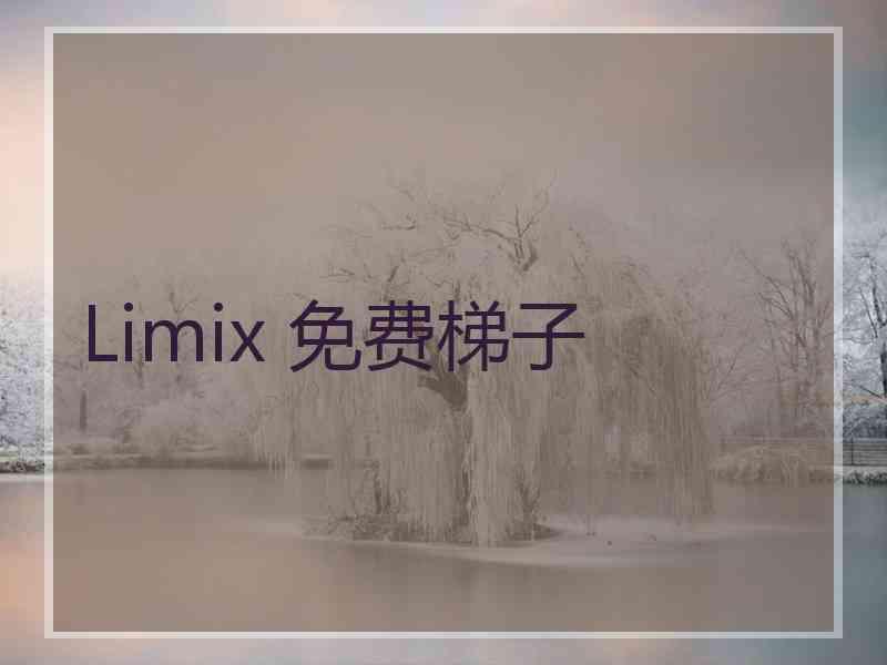 Limix 免费梯子