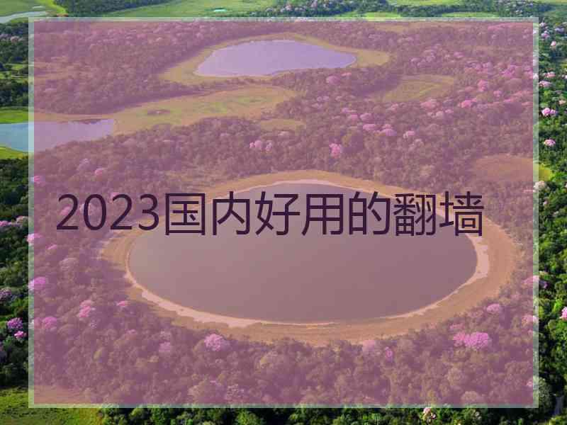 2023国内好用的翻墙