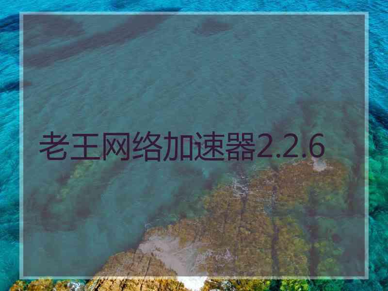 老王网络加速器2.2.6