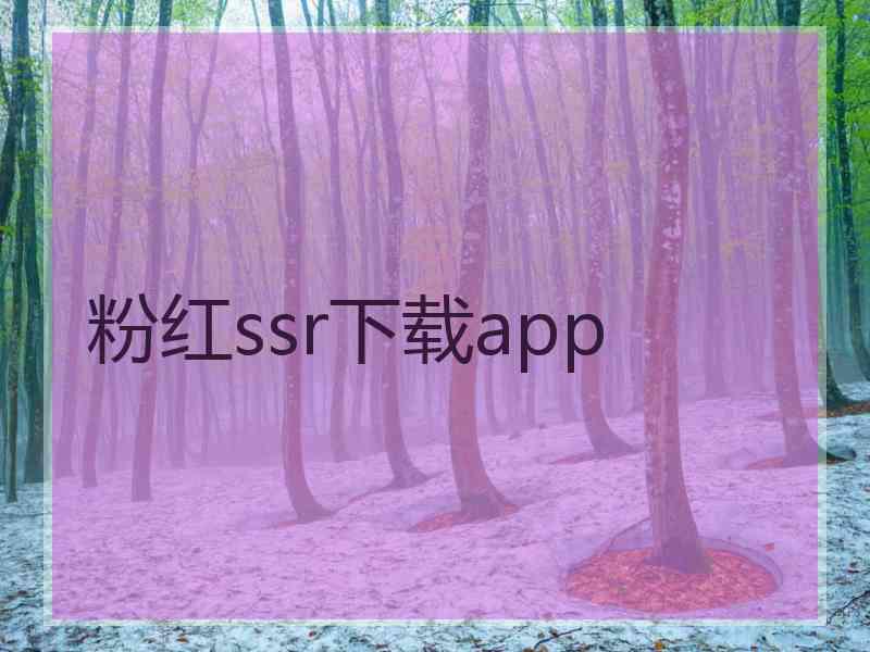 粉红ssr下载app