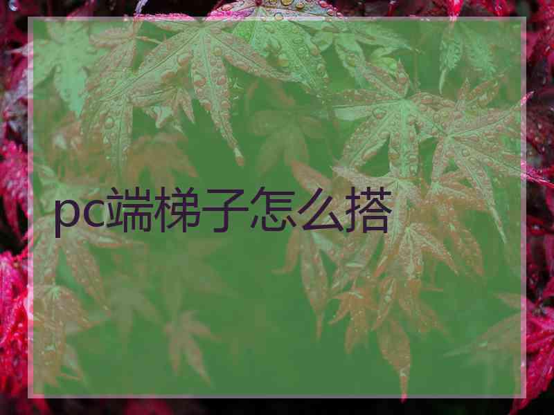 pc端梯子怎么搭