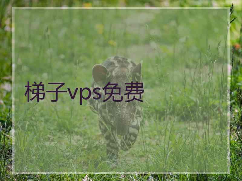 梯子vps免费