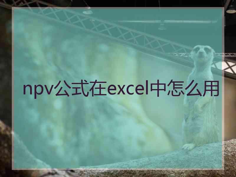 npv公式在excel中怎么用