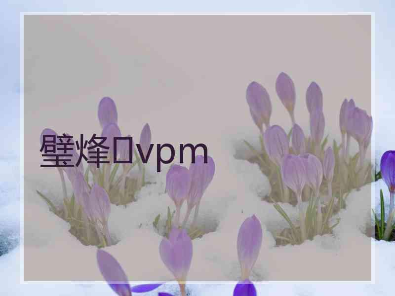 璧烽vpm