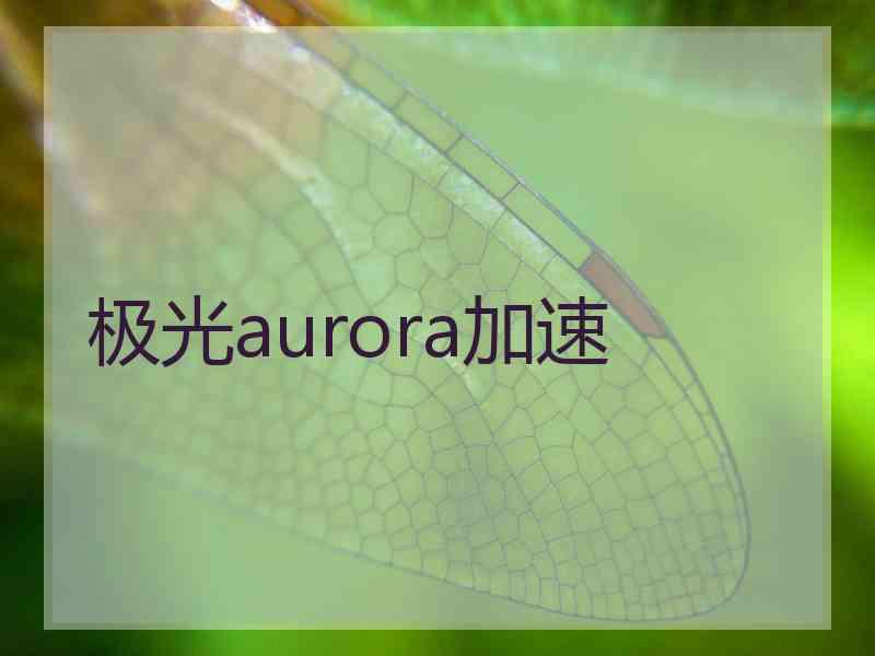 极光aurora加速