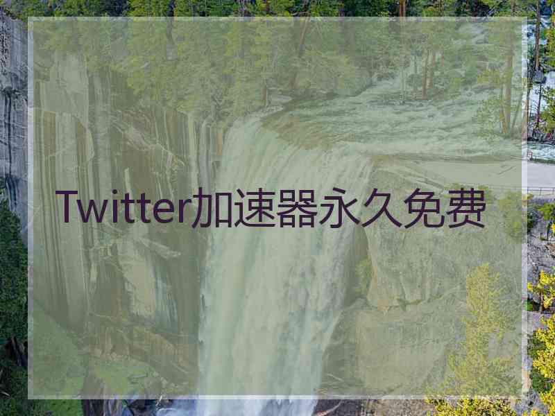 Twitter加速器永久免费