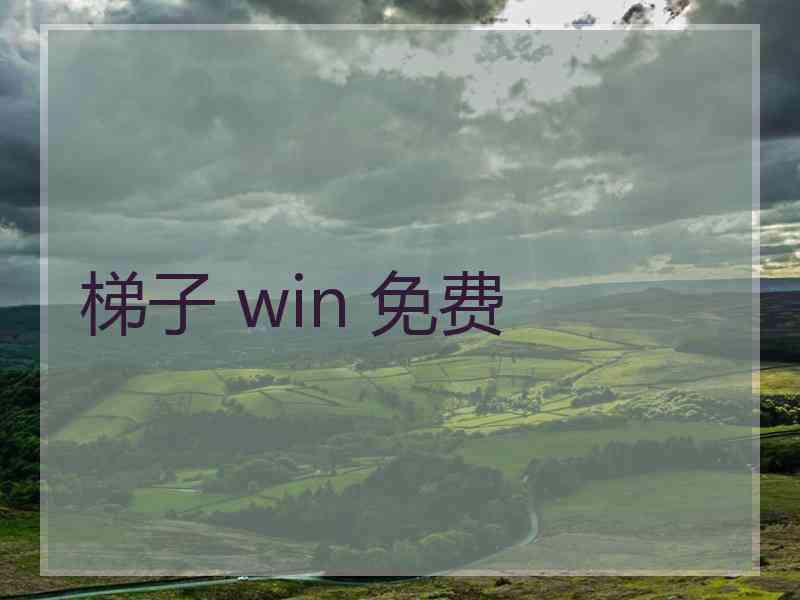 梯子 win 免费