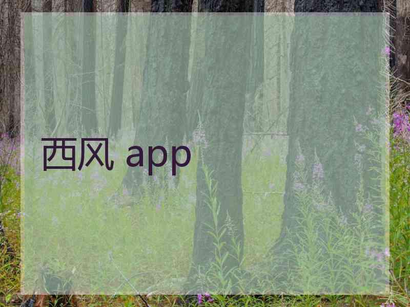 西风 app